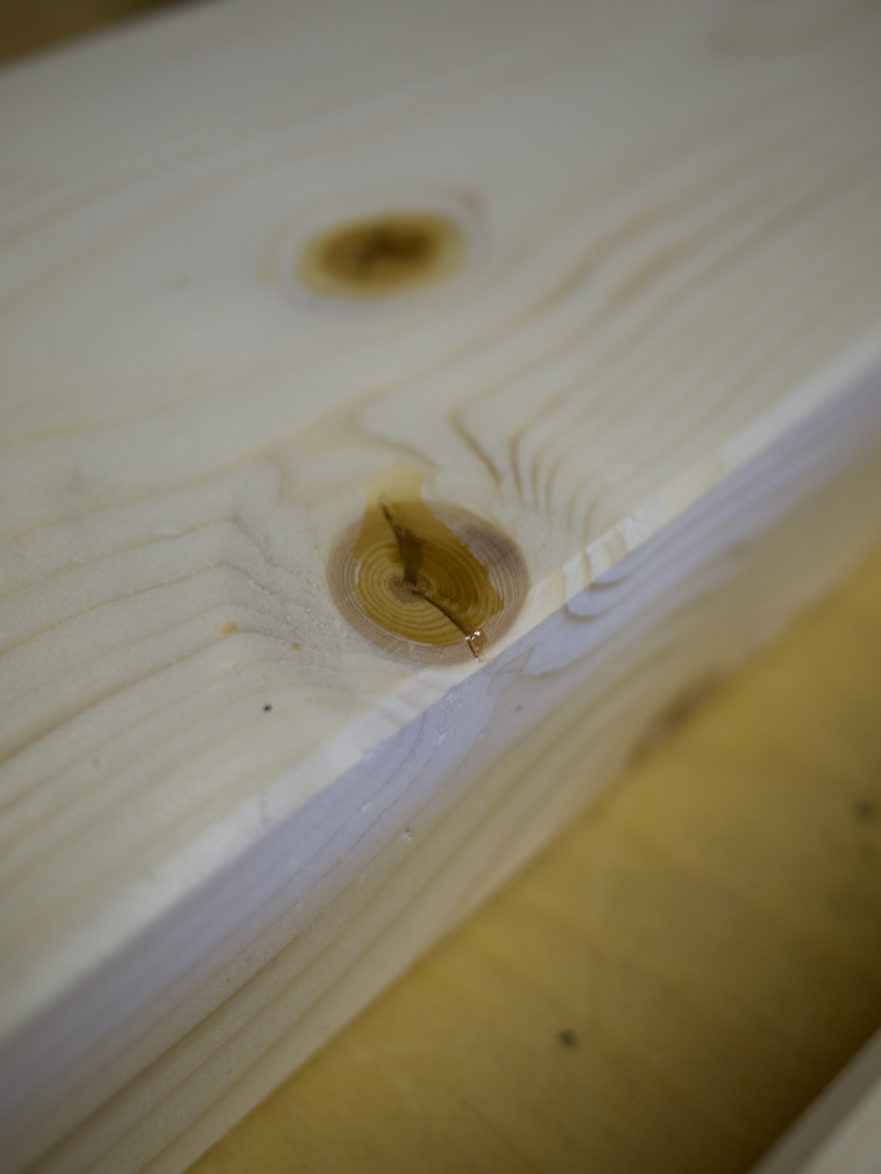 20170531 Balkenbett 009